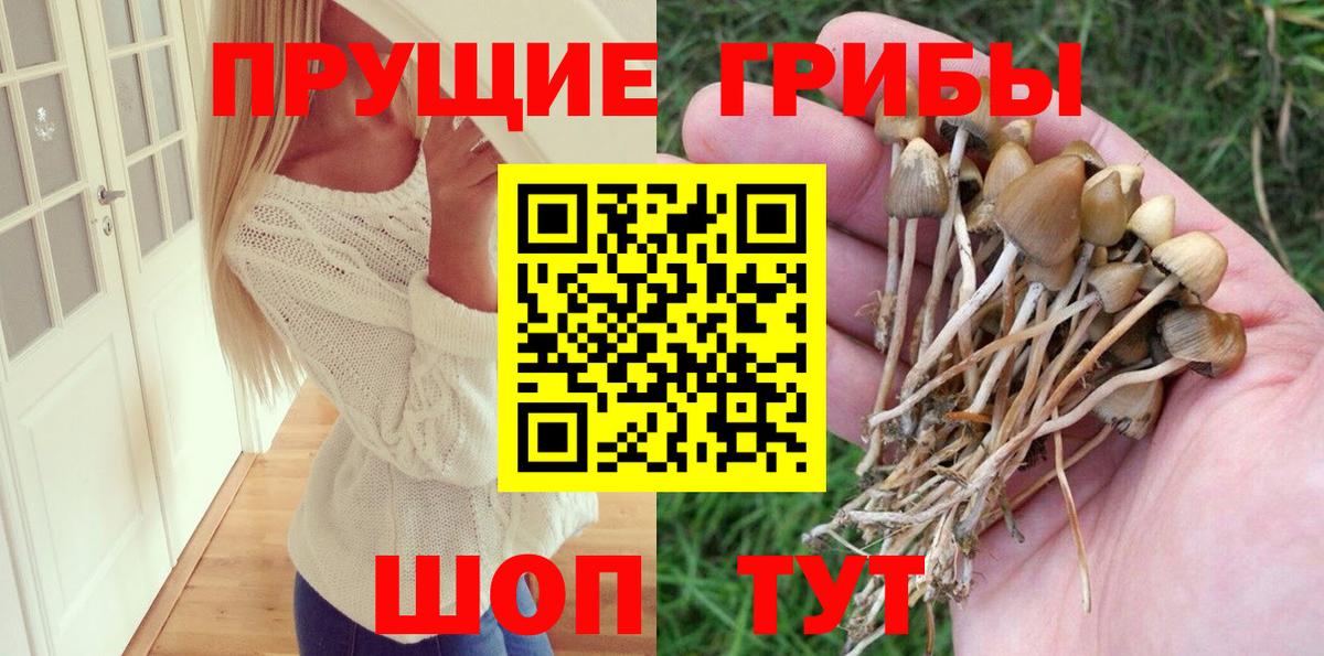 Галлюциногенные грибы GOLDEN TEACHER  Вход с VPN  Саяногорск 